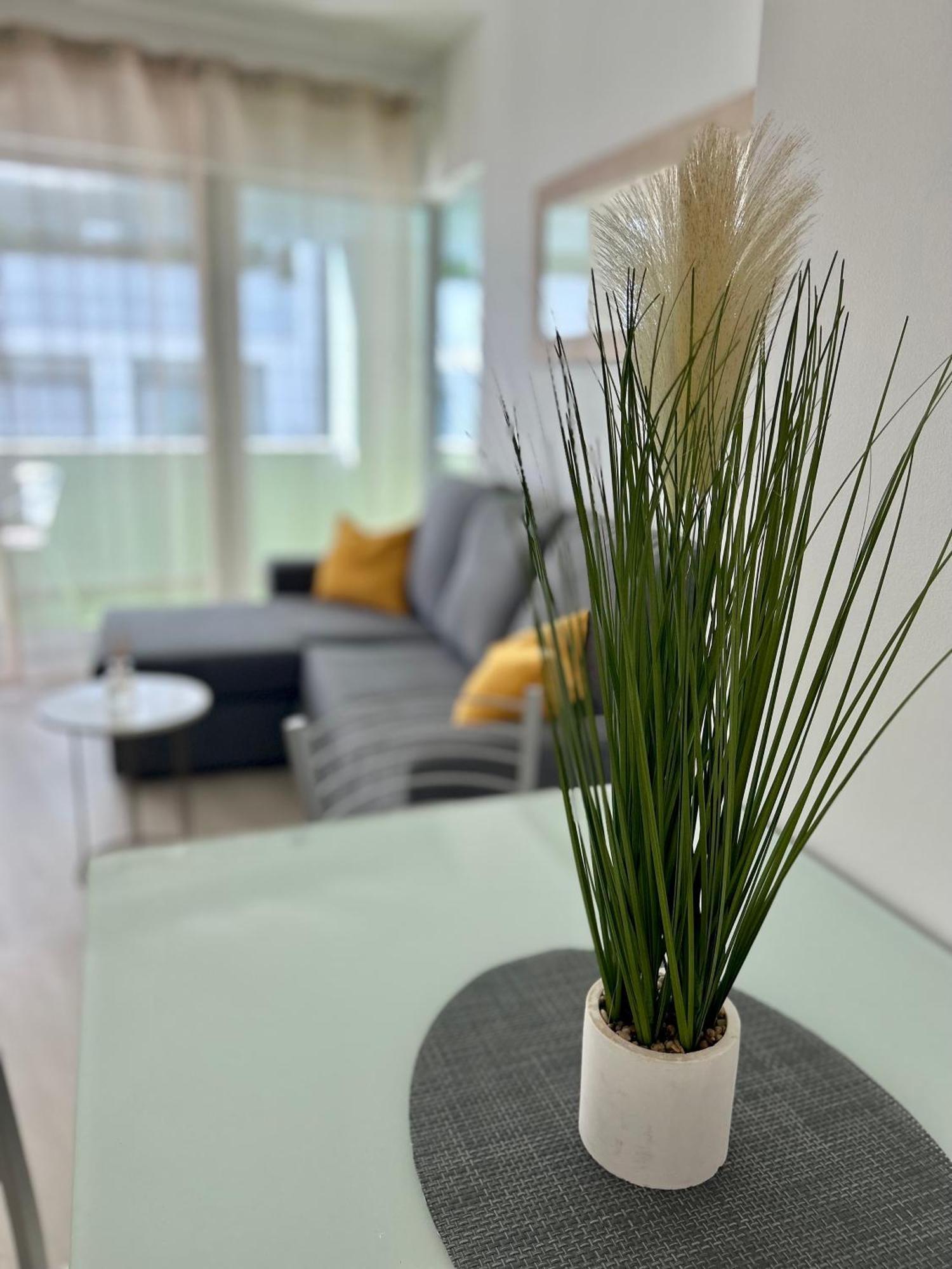 Apartment Lido Branca By Ola Madeira